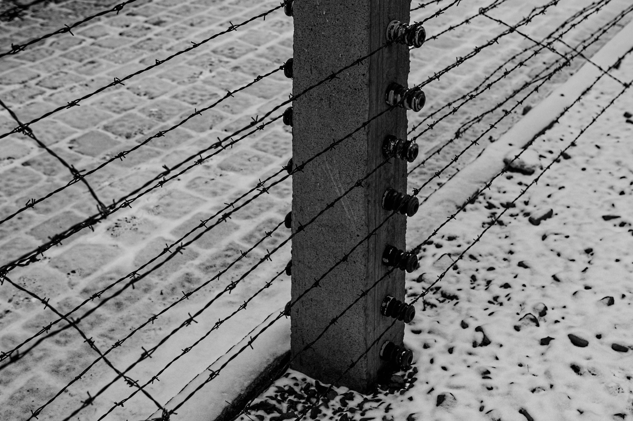  Fence 